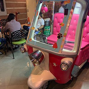 Converge Retail Projects